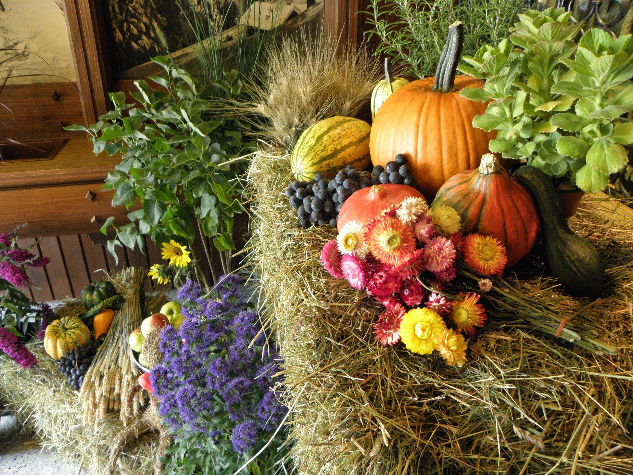 Nationalpark-Camping Grossglockner (Heiligenblut)